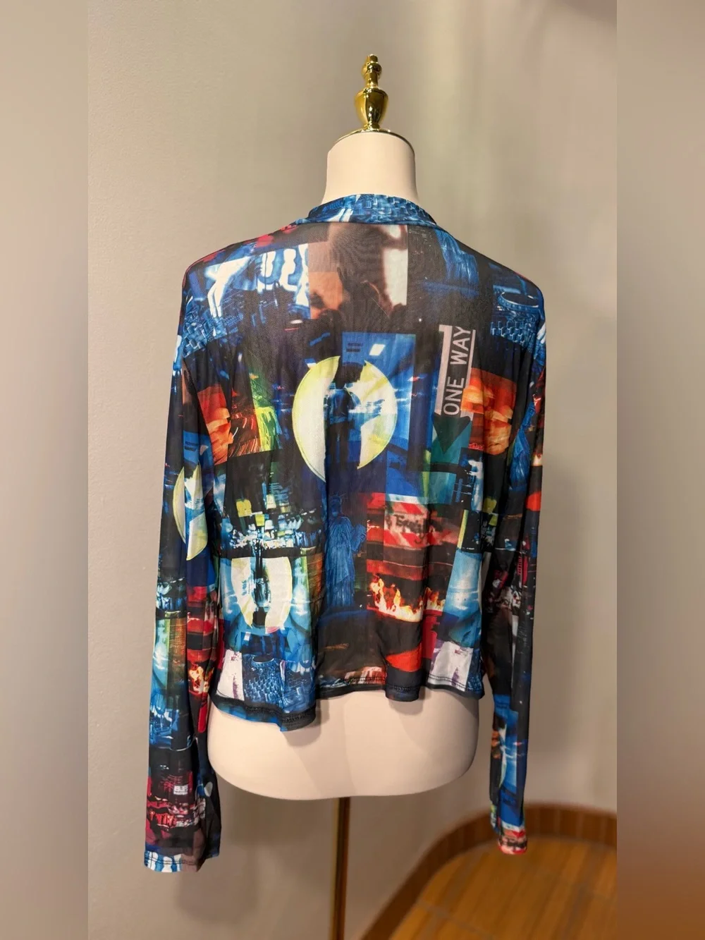 See through Long Sleeve Women’s Top Colorful City Japan Style Plus Size 2X Rave